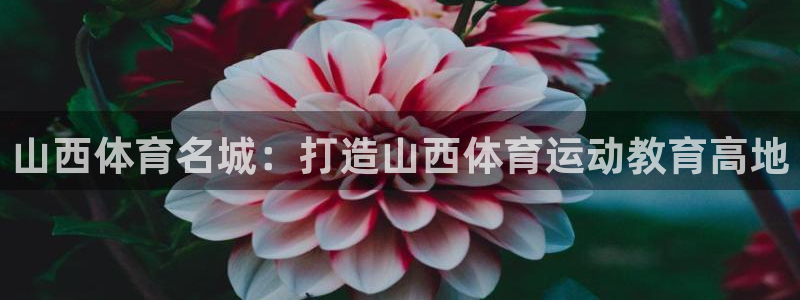 球客岛：山西体育名城：打造山西体育运动教育高地